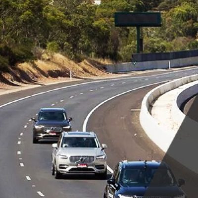 Performance Grades Rosalind group